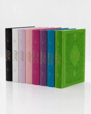 EL NOBLE CORÁN TANSLITERADO DELUXE (24X17)