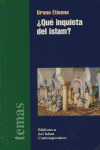¿QUÉ INQUIETA DEL ISLAM?